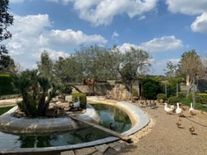 La Fazenda Ruffano Lecce